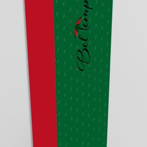 orthern Virginia proposal graphics design copywriting logos branding marketing presentation design falls church manassas fairfax washington dc