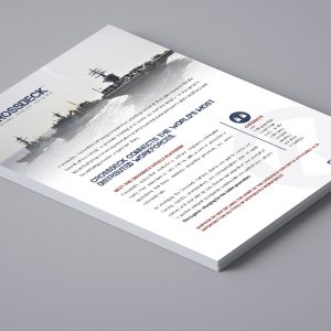 orthern Virginia proposal graphics design copywriting logos branding marketing presentation design falls church manassas fairfax washington dc