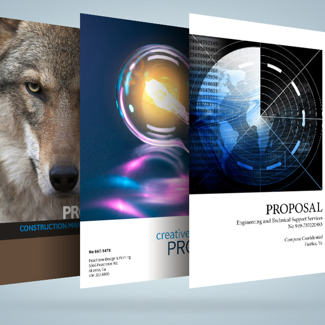 Northern Virginia proposal graphics design copywriting logos branding marketing presentation design falls church manassas fairfax washington dc