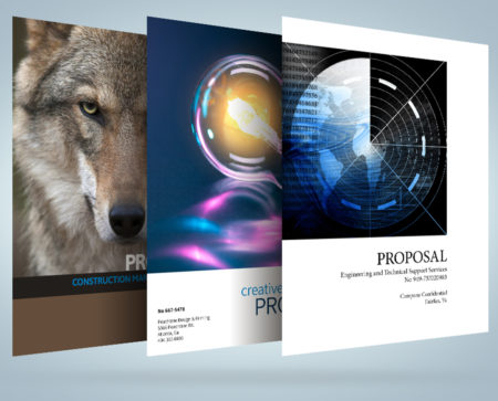 Northern Virginia proposal graphics design copywriting logos branding marketing presentation design falls church manassas fairfax washington dc