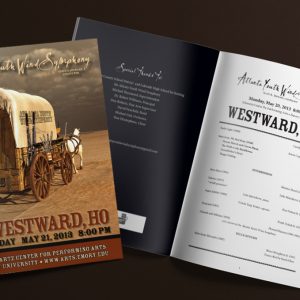 orthern Virginia proposal graphics design copywriting logos branding marketing presentation design falls church manassas fairfax washington dc