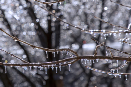 graphic design color palette winter colors