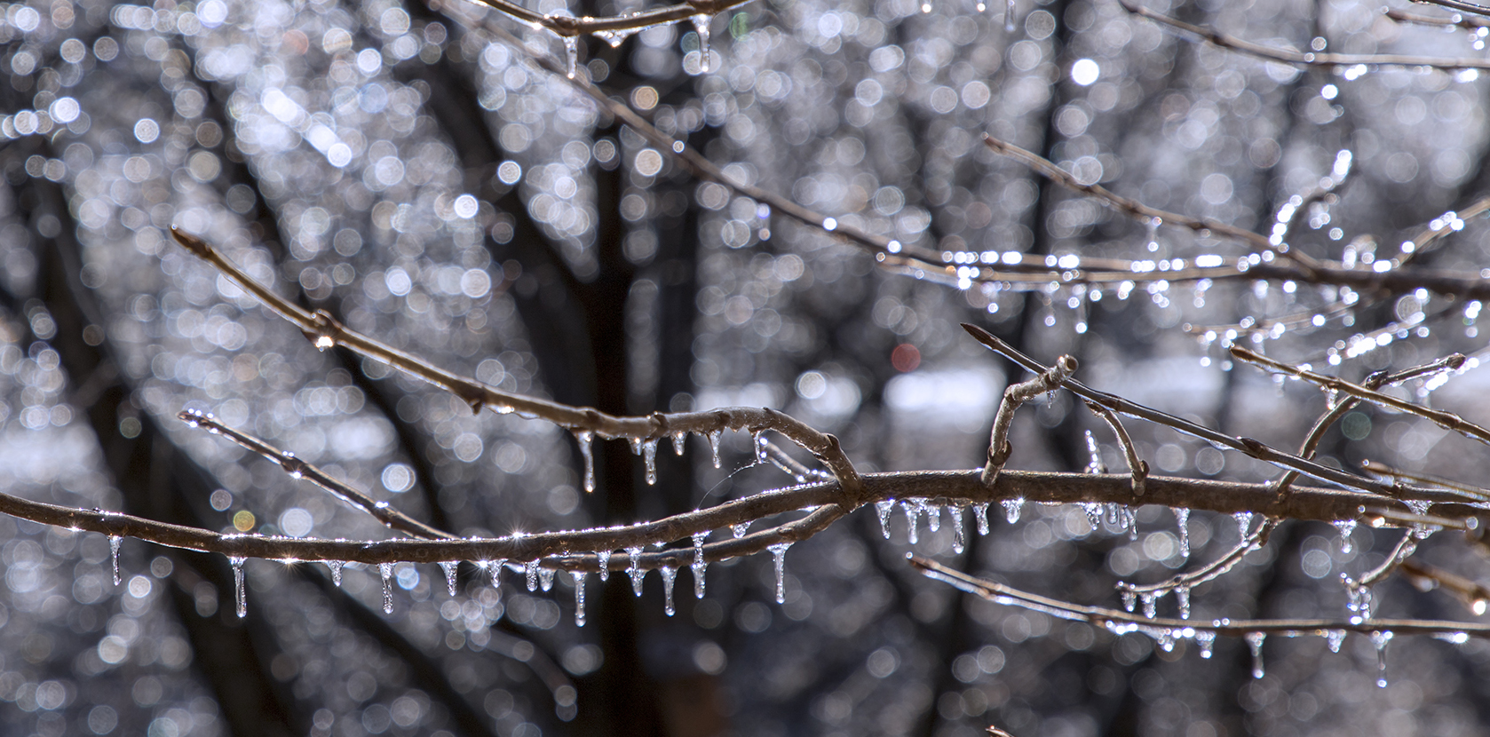 graphic design color palette winter colors