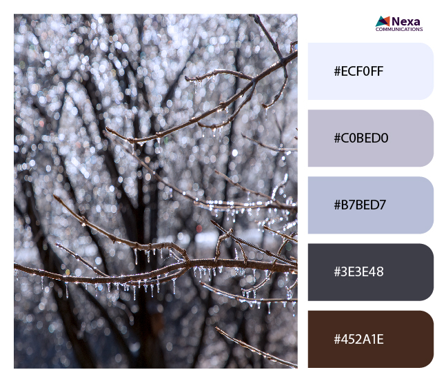 color palette graphic design winter colors